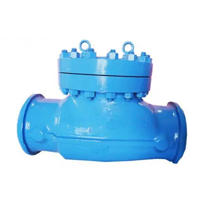 Swing Check Valve Manufacturer in Ahmedabad